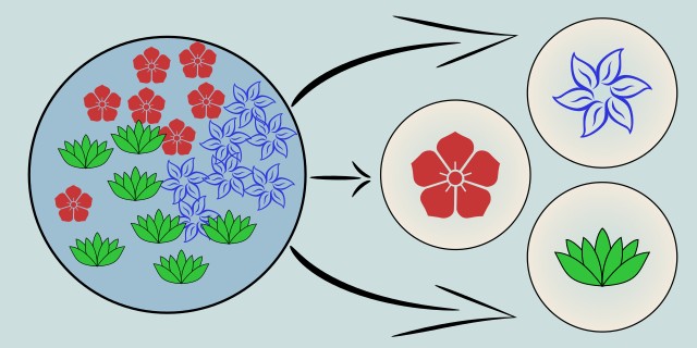 clustering