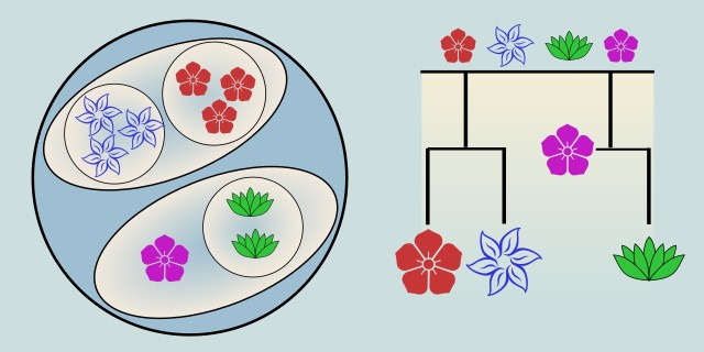 Hierarchical Clustering